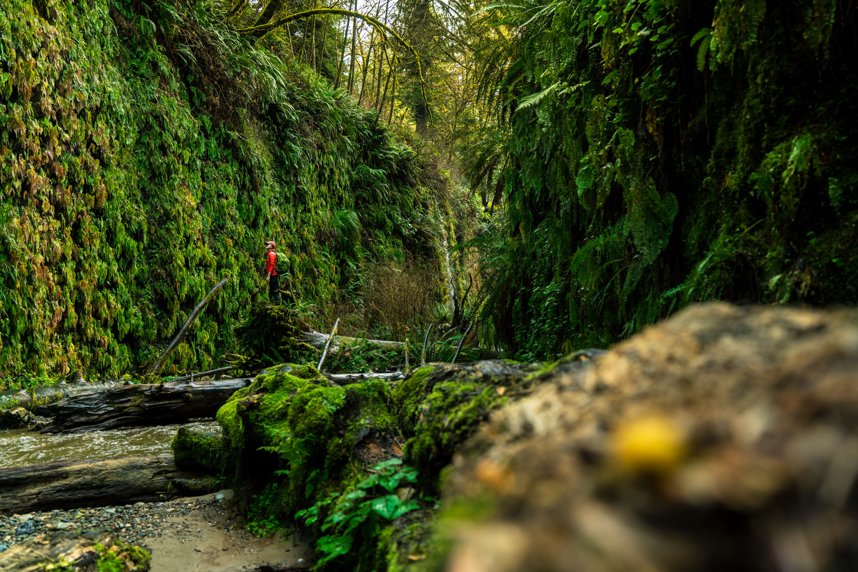 KevinKozicki_Adventure_044
